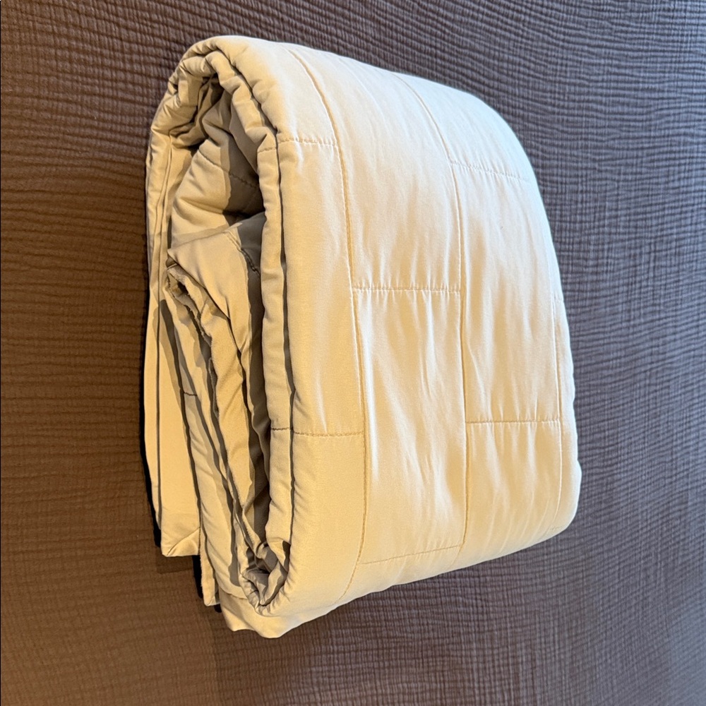 Queen size alternative down all season comforter, light khaki